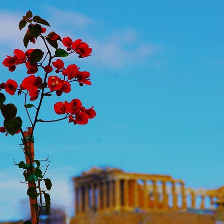 Absolute Athens Acropolis Viewアパートホテル エクステリア 写真