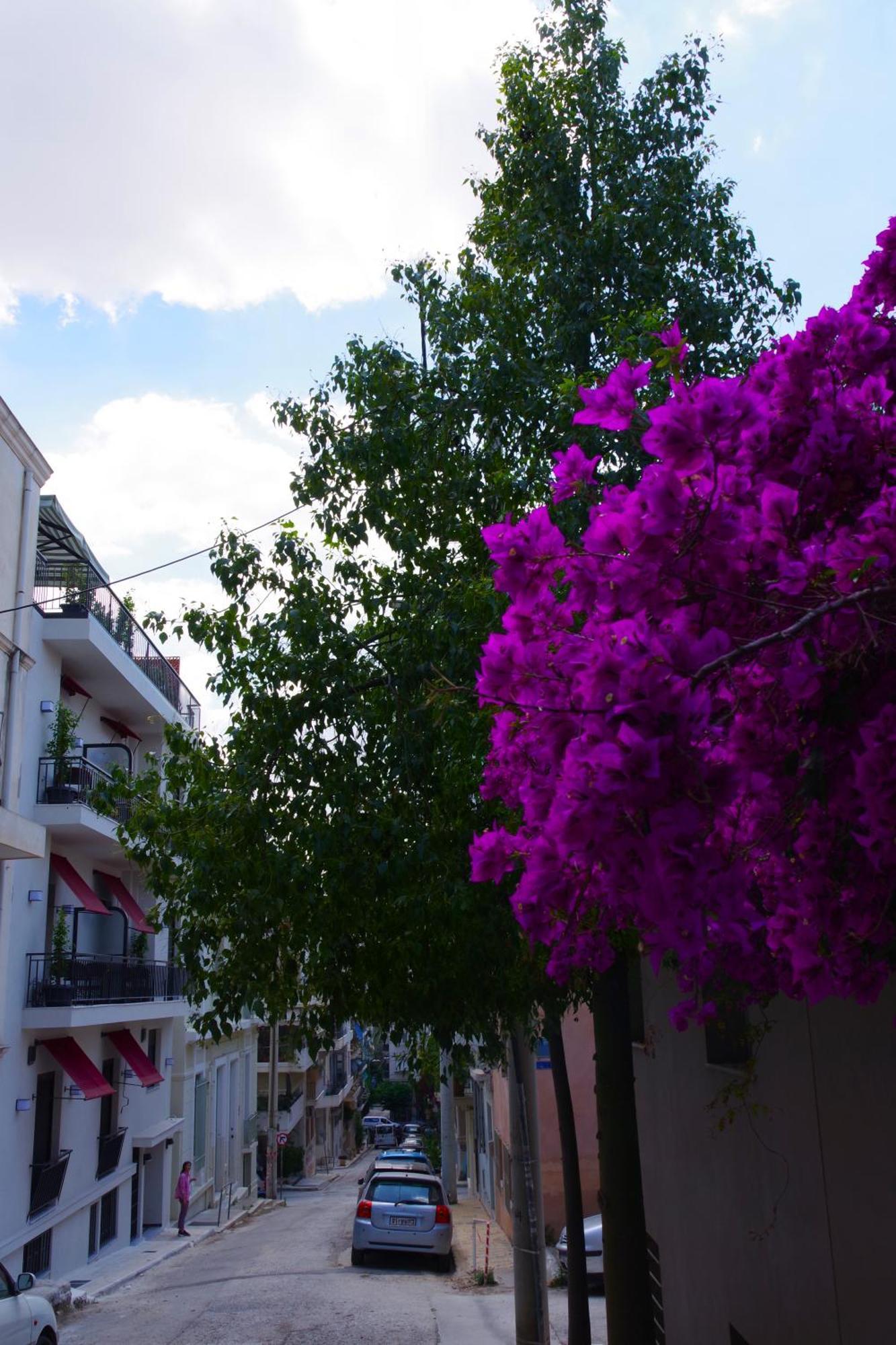 Absolute Athens Acropolis Viewアパートホテル エクステリア 写真